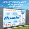 Banner zur Geburt, Plakat zur Geburt, Panner zur Geburt, Geburtsgeschenke, Babybanner, Banner für Baby, Mädchen, Junge